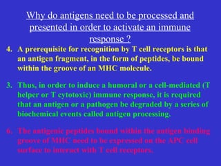 4. A prerequisite for recognition by T cell receptors is that an antigen fragment, in the form of peptides, be bound within the groove of an MHC molecule. Thus, in order to induce a humoral or a cell-mediated (T helper or T cytotoxic) immune response, it is required that an antigen or a pathogen be degraded by a series of biochemical events called antigen processing. 6. The antigenic peptides bound within the antigen binding groove of MHC need to be expressed on the APC cell surface to interact with T cell receptors. Why do antigens need to be processed and presented in order to activate an immune response ? 