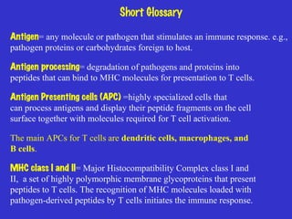Antigen = any molecule or pathogen that stimulates an immune response. e.g., pathogen proteins or carbohydrates foreign to host. Antigen processing = degradation of pathogens and proteins into peptides that can bind to MHC molecules for presentation to T cells. Antigen Presenting cells (APC)  =highly specialized cells that  can process antigens and display their peptide fragments on the cell  surface together with molecules required for T cell activation.   The main APCs for T cells are  dendritic cells, macrophages, and  B cells . MHC class I and II = Major Histocompatibility Complex class I and  II,  a set of highly polymorphic membrane glycoproteins that present  peptides to T cells. The recognition of MHC molecules loaded with pathogen-derived peptides by T cells initiates the immune response. Short Glossary 