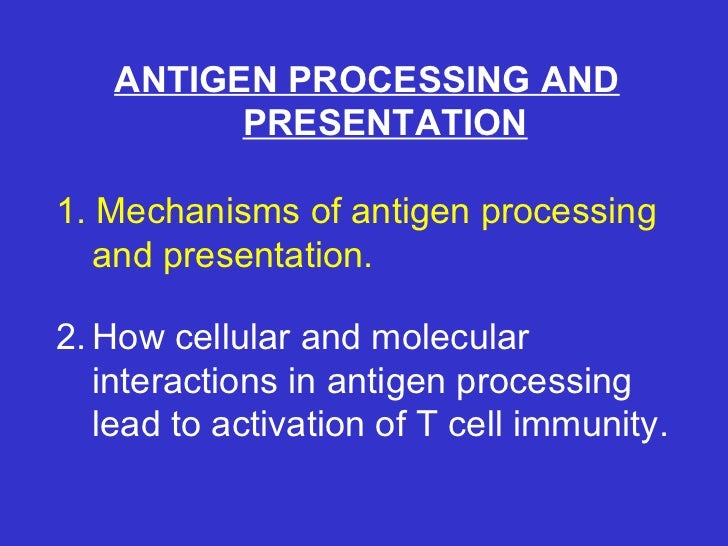 Antigen processing lecturenkn