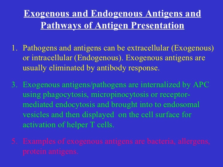 Antigen processing lecturenkn