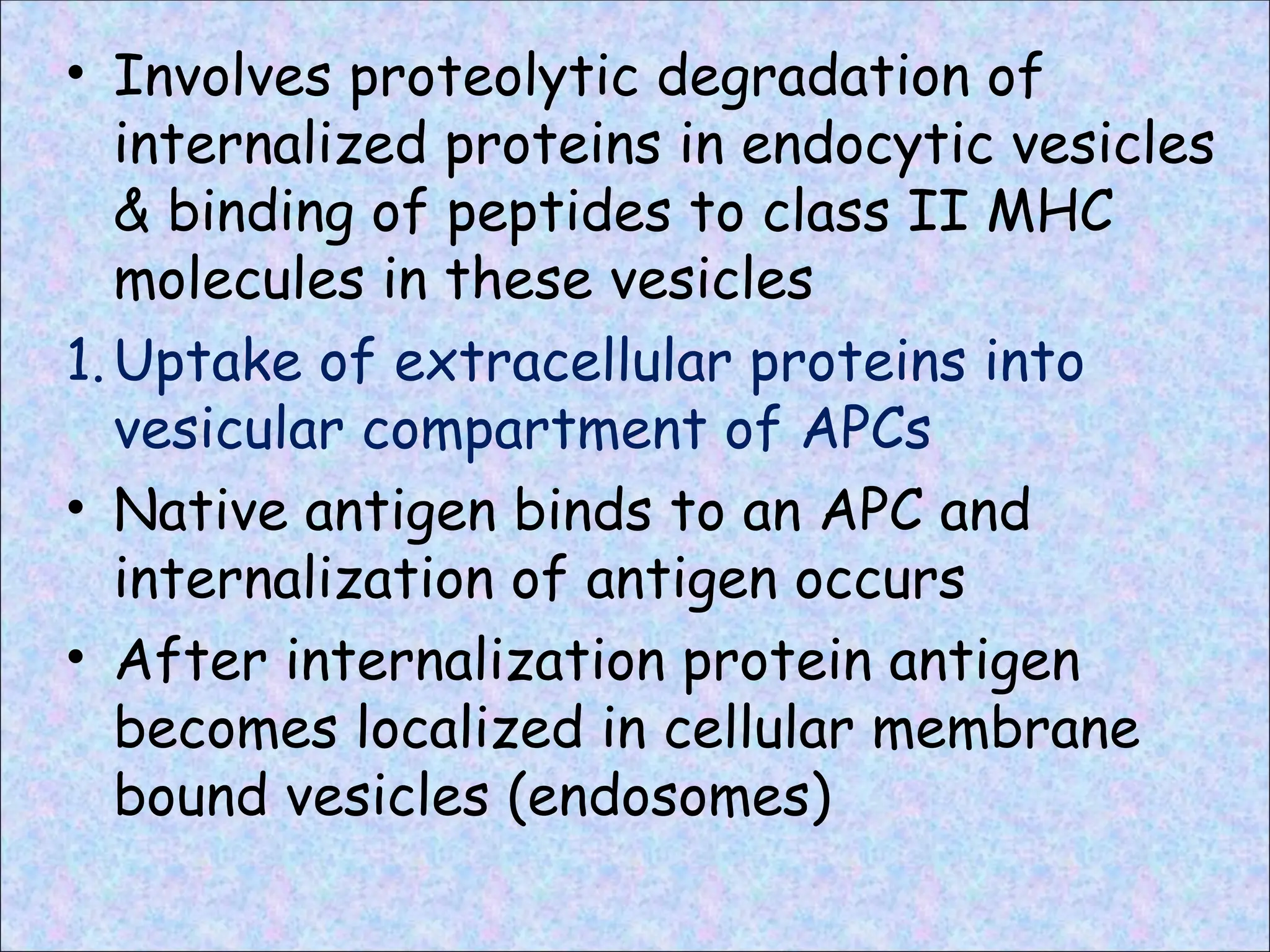 • Involves proteolytic degradation of
internalized proteins in endocytic vesicles
& binding of peptides to class II MHC
molecules in these vesicles
1.Uptake of extracellular proteins into
vesicular compartment of APCs
• Native antigen binds to an APC and
internalization of antigen occurs
• After internalization protein antigen
becomes localized in cellular membrane
bound vesicles (endosomes)
 