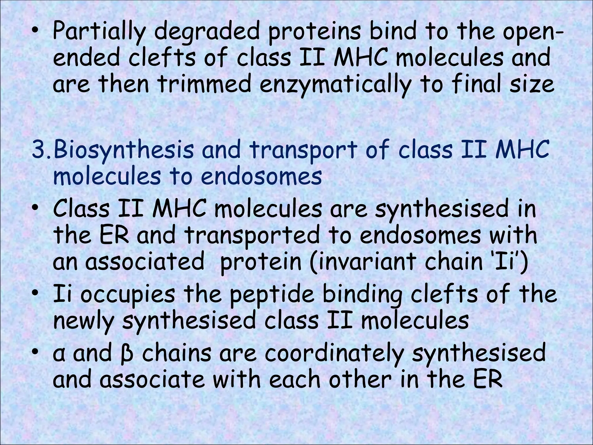• Partially degraded proteins bind to the open-
ended clefts of class II MHC molecules and
are then trimmed enzymatically to final size
3.Biosynthesis and transport of class II MHC
molecules to endosomes
• Class II MHC molecules are synthesised in
the ER and transported to endosomes with
an associated protein (invariant chain ‘Ii’)
• Ii occupies the peptide binding clefts of the
newly synthesised class II molecules
• α and β chains are coordinately synthesised
and associate with each other in the ER
 