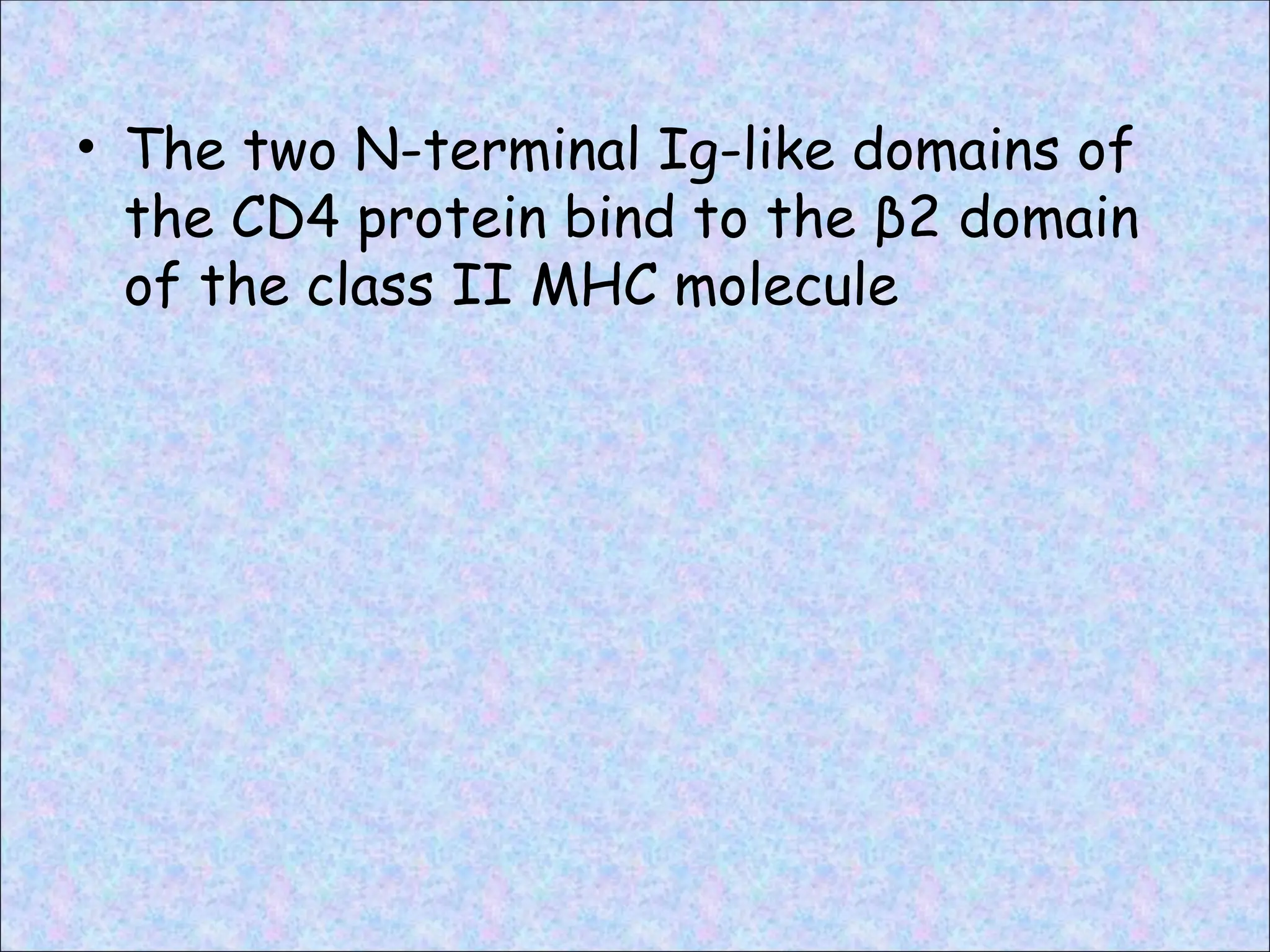 • The two N-terminal Ig-like domains of
the CD4 protein bind to the β2 domain
of the class II MHC molecule
 