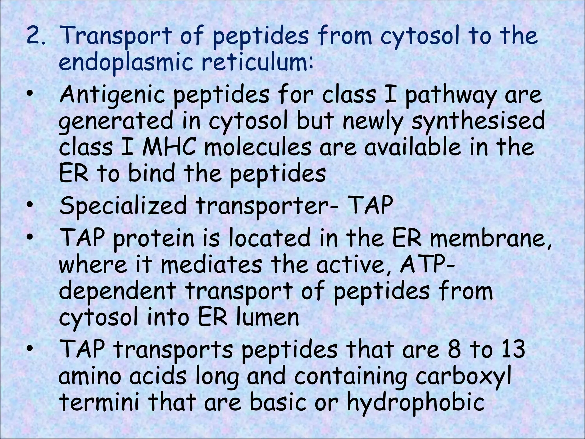 2. Transport of peptides from cytosol to the
endoplasmic reticulum:
• Antigenic peptides for class I pathway are
generated in cytosol but newly synthesised
class I MHC molecules are available in the
ER to bind the peptides
• Specialized transporter- TAP
• TAP protein is located in the ER membrane,
where it mediates the active, ATP-
dependent transport of peptides from
cytosol into ER lumen
• TAP transports peptides that are 8 to 13
amino acids long and containing carboxyl
termini that are basic or hydrophobic
 