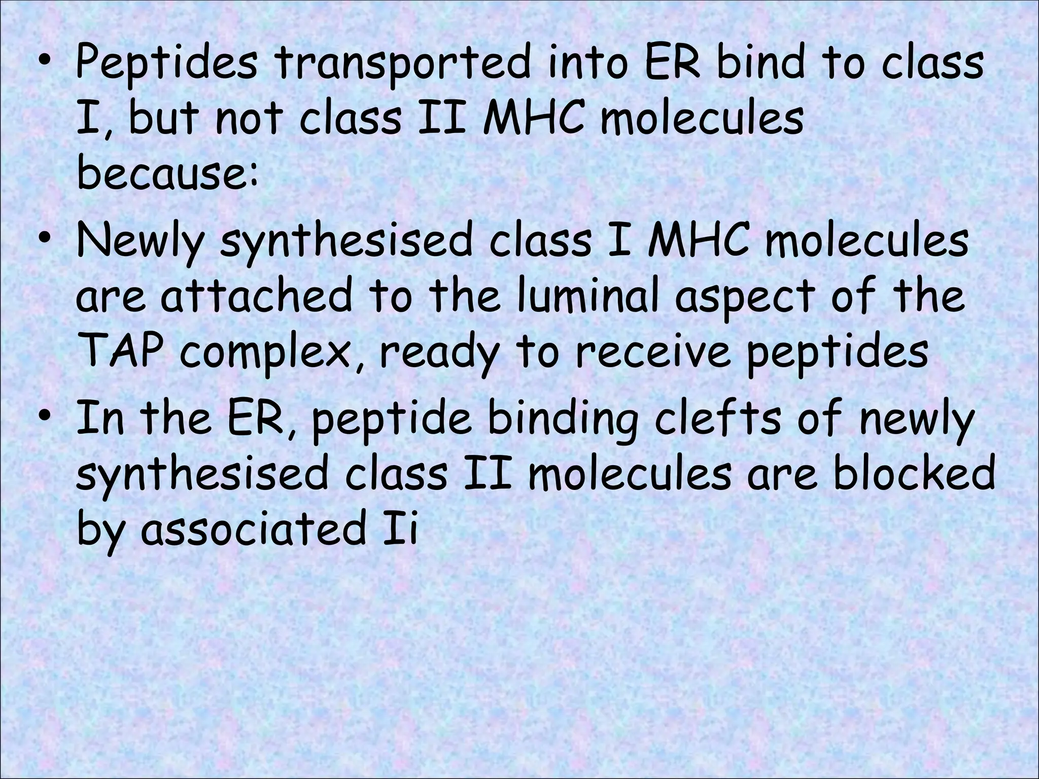 • Peptides transported into ER bind to class
I, but not class II MHC molecules
because:
• Newly synthesised class I MHC molecules
are attached to the luminal aspect of the
TAP complex, ready to receive peptides
• In the ER, peptide binding clefts of newly
synthesised class II molecules are blocked
by associated Ii
 