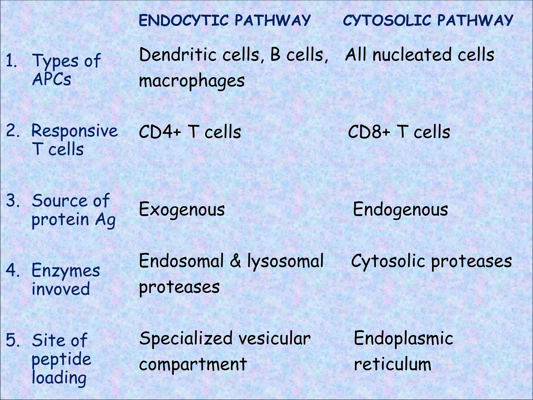 ENDOCYTIC PATHWAY
1. Types of
APCs
2. Responsive
T cells
3. Source of
protein Ag
4. Enzymes
invoved
5. Site of
peptide
loading
CYTOSOLIC PATHWAY
Dendritic cells, B cells, All nucleated cells
macrophages
CD4+ T cells CD8+ T cells
Exogenous Endogenous
Endosomal & lysosomal Cytosolic proteases
proteases
Specialized vesicular Endoplasmic
compartment reticulum
 