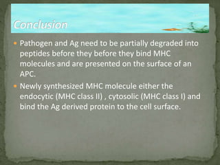  Pathogen and Ag need to be partially degraded into
peptides before they before they bind MHC
molecules and are presented on the surface of an
APC.
 Newly synthesized MHC molecule either the
endocytic (MHC class II) , cytosolic (MHC class I) and
bind the Ag derived protein to the cell surface.
 
