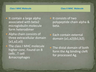  It contain a large alpha
associated with beta2
microglobulin molecule
form heterodimer
 Alpha chain consists of
three extracellular domain
(a1,a2,a3)
 The class I MHC molecule
higher conc. Found on B
cells , T cell
&macrophages
 It consists of two
polypeptide chain alpha &
beta.
 Each contain external
domain (a1,a2)(b1,b2).
 The distal domain of both
form the Ag binding cleft
for processed Ag.
Class I MHC Molecule Class II MHC Molecule
 