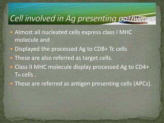  Almost all nucleated cells express class I MHC
molecule and
 Displayed the processed Ag to CD8+ Tc cells
 These are also referred as target cells.
 Class II MHC molecule display processed Ag to CD4+
TH cells .
 These are referred as antigen presenting cells (APCs).
 
