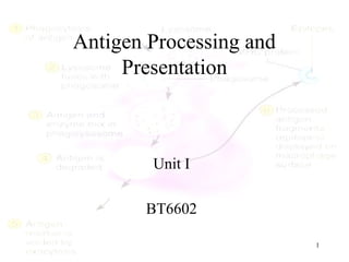 Antigen Processing and
Presentation
Unit I
BT6602
1
 