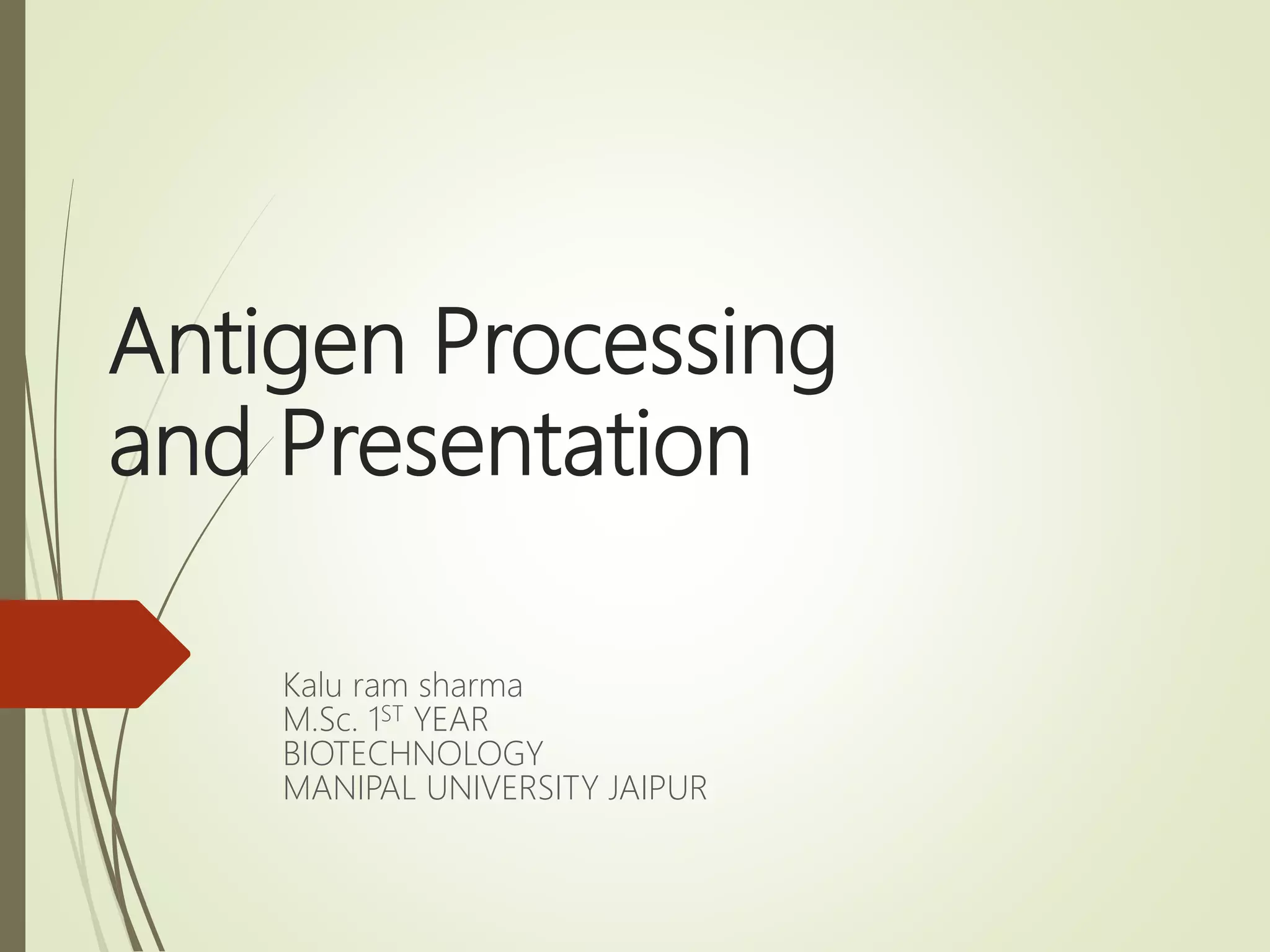 Antigen Processing
and Presentation
Kalu ram sharma
M.Sc. 1ST YEAR
BIOTECHNOLOGY
MANIPAL UNIVERSITY JAIPUR
 