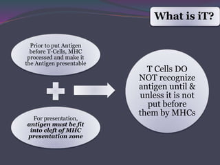 What is iT?
Prior to put Antigen
before T-Cells, MHC
processed and make it
the Antigen presentable
For presentation,
antig...