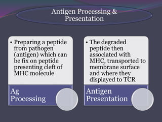 Antigen Processing &
Presentation
• Preparing a peptide
from pathogen
(antigen) which can
be fix on peptide
presenting cle...