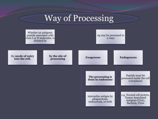 Way of Processing
Whether an antigenic
peptide associates with
class I or II molecules, is
dictated by
the mode of entry
into the cell,
by the site of
processing
Ag may be processed in
2 ways
Exogenous
The processing is
done in endosome
internalize antigen by
phagocytosis,
endocytosis, or both
Endogenous
Peptide must be
processed inside the cell
(cytoplasm)
e.g. Normal cell protein,
Tumor Associated
Antigens (TAA),
Bacteria, Virus
 