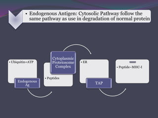 • Endogenous Antigen: Cytosolic Pathway follow the
same pathway as use in degradation of normal protein
• Ubiquitin+ATP
Endogenous
Ag
• Peptides
Cytoplasmic
Proteiosome
Complex
• ER
TAP
• Peptide~MHC-I
 