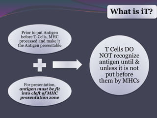 What is iT?
Prior to put Antigen
before T-Cells, MHC
processed and make it
the Antigen presentable
For presentation,
antigen must be fit
into cleft of MHC
presentation zone
T Cells DO
NOT recognize
antigen until &
unless it is not
put before
them by MHCs
 