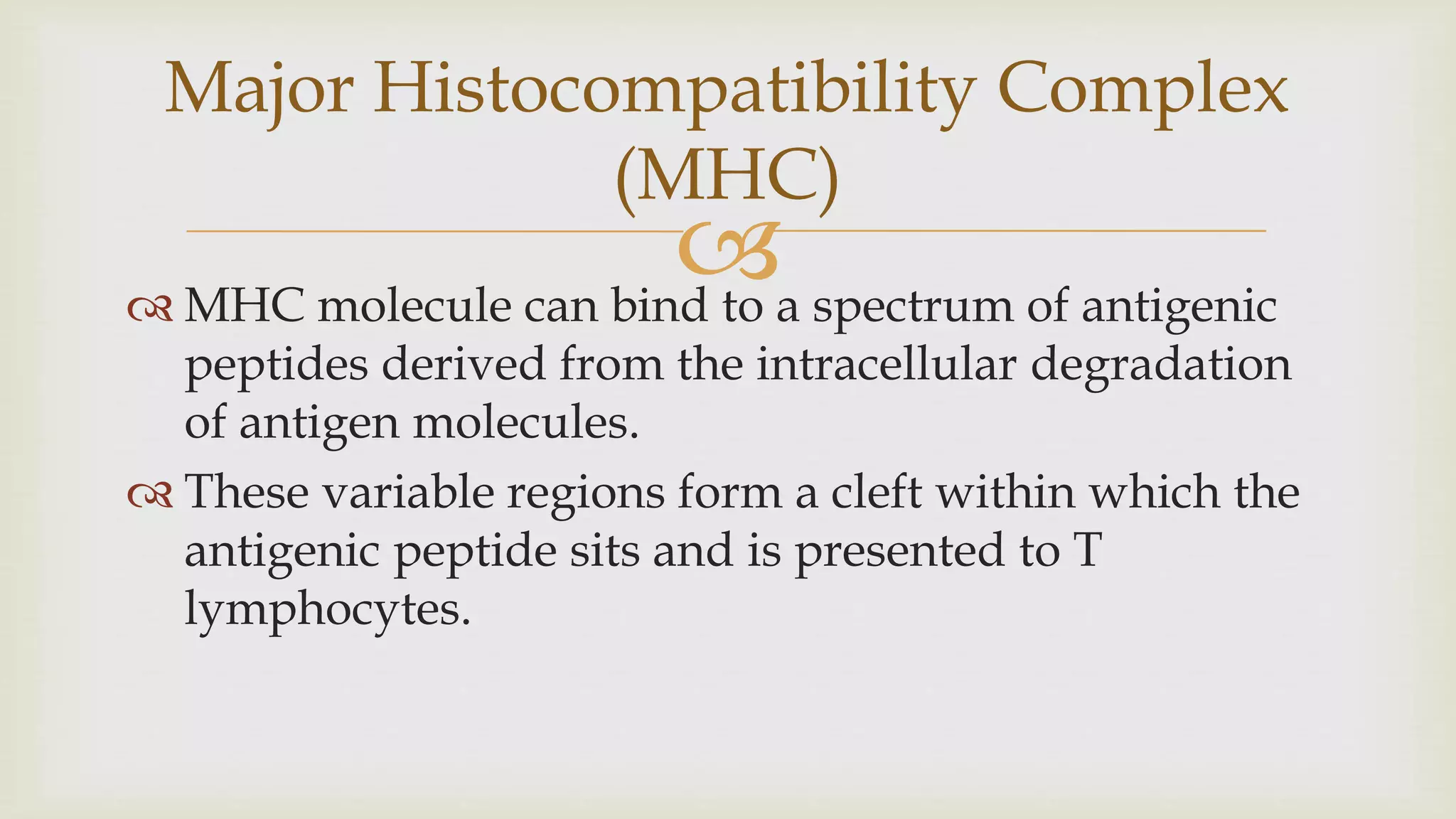 
 MHC molecule can bind to a spectrum of antigenic
peptides derived from the intracellular degradation
of antigen molecules.
 These variable regions form a cleft within which the
antigenic peptide sits and is presented to T
lymphocytes.
Major Histocompatibility Complex
(MHC)
 
