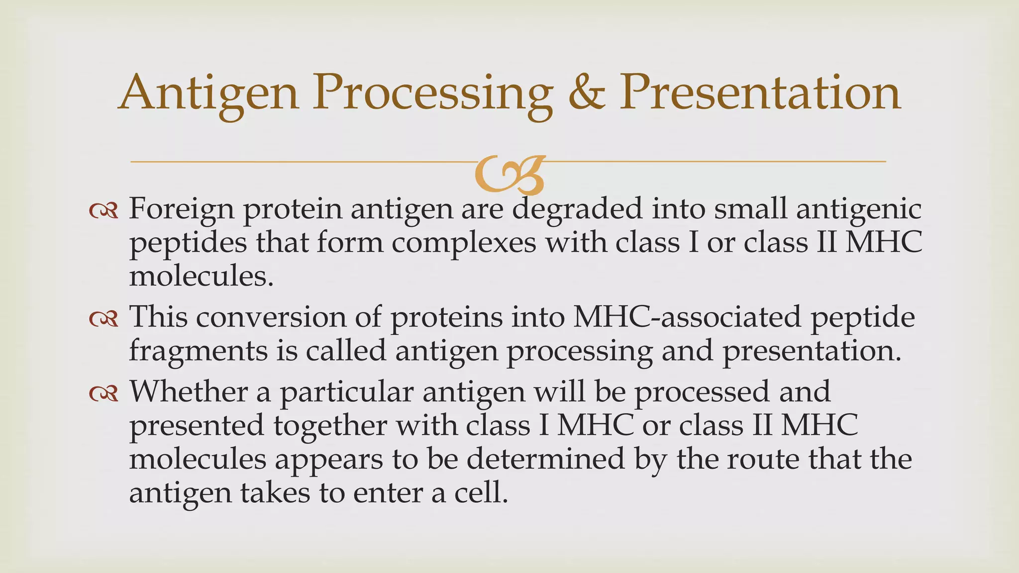
 Foreign protein antigen are degraded into small antigenic
peptides that form complexes with class I or class II MHC
molecules.
 This conversion of proteins into MHC-associated peptide
fragments is called antigen processing and presentation.
 Whether a particular antigen will be processed and
presented together with class I MHC or class II MHC
molecules appears to be determined by the route that the
antigen takes to enter a cell.
Antigen Processing & Presentation
 