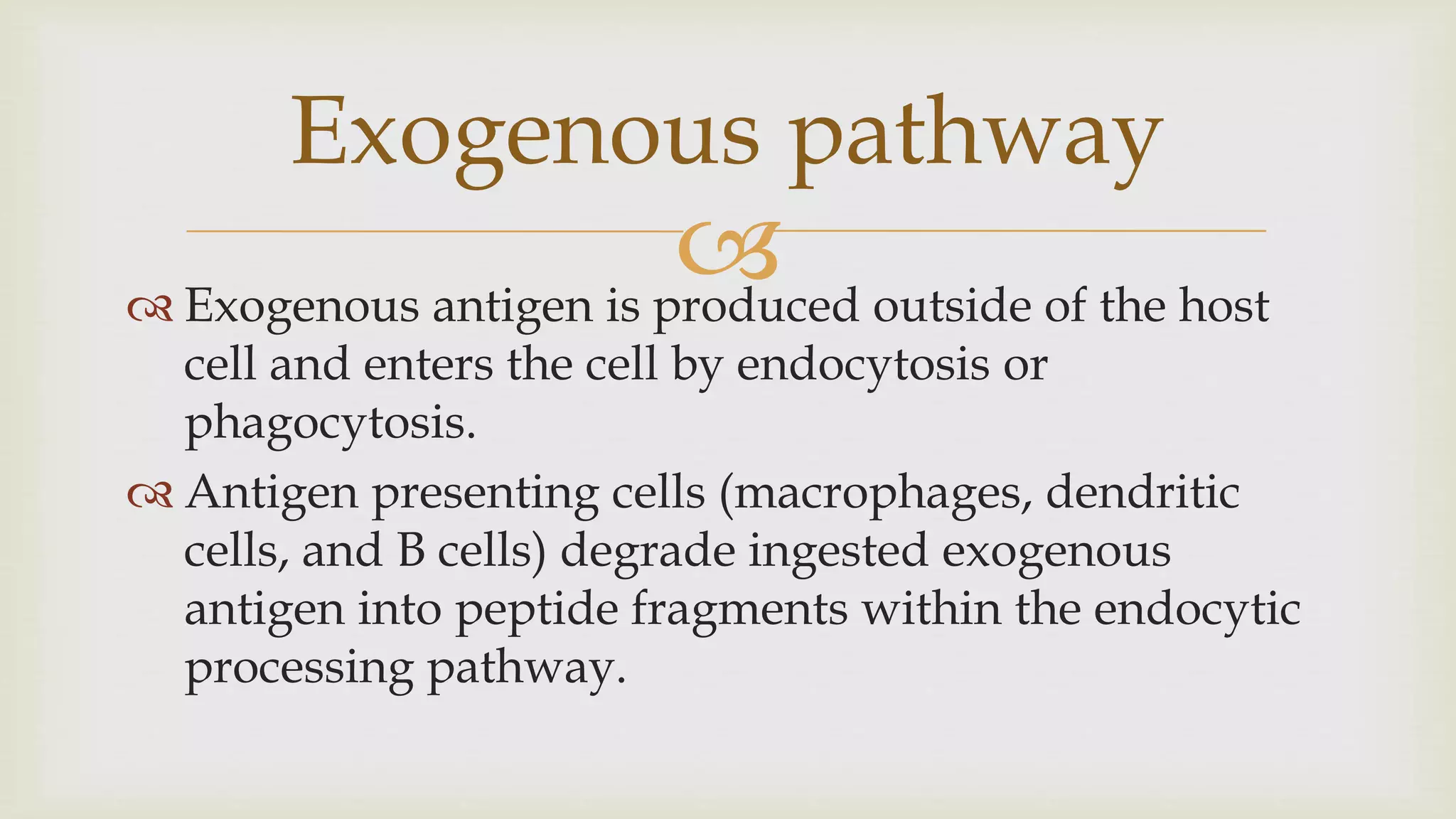 
 Exogenous antigen is produced outside of the host
cell and enters the cell by endocytosis or
phagocytosis.
 Antigen presenting cells (macrophages, dendritic
cells, and B cells) degrade ingested exogenous
antigen into peptide fragments within the endocytic
processing pathway.
Exogenous pathway
 