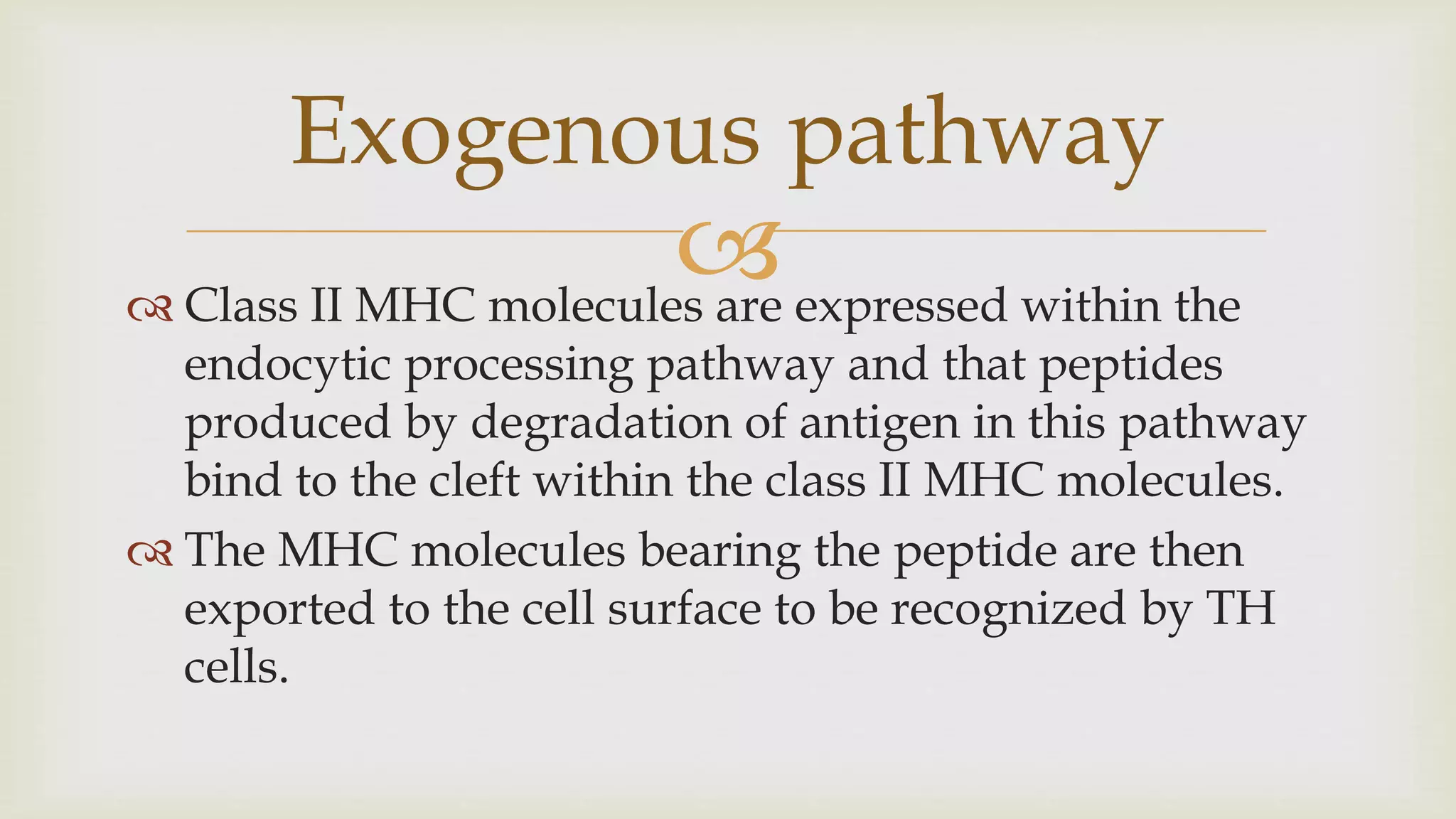
 Class II MHC molecules are expressed within the
endocytic processing pathway and that peptides
produced by degradation of antigen in this pathway
bind to the cleft within the class II MHC molecules.
 The MHC molecules bearing the peptide are then
exported to the cell surface to be recognized by TH
cells.
Exogenous pathway
 