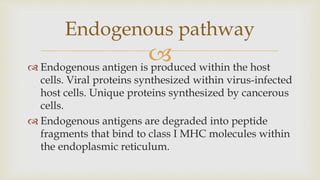 
 Endogenous antigen is produced within the host
cells. Viral proteins synthesized within virus-infected
host cells. Unique proteins synthesized by cancerous
cells.
 Endogenous antigens are degraded into peptide
fragments that bind to class I MHC molecules within
the endoplasmic reticulum.
Endogenous pathway
 