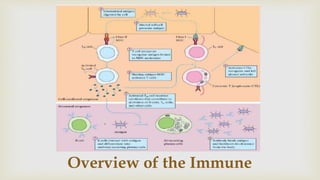 Overview of the Immune
 