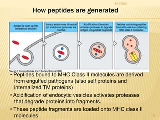 ANTIGEN PROCESSING PRESENTATION AND RECOGNITION - Copy [Autosaved].pptx