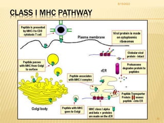 ANTIGEN PROCESSING PRESENTATION AND RECOGNITION - Copy [Autosaved].pptx