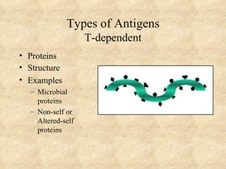 Antigens | PPT