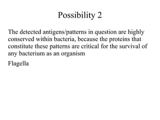 Possibility 2 
The detected antigens/patterns in question are highly 
conserved within bacteria, because the proteins that 
constitute these patterns are critical for the survival of 
any bacterium as an organism 
Flagella 
 