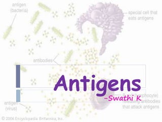 Antigens
-Swathi K
 