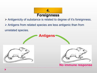 4.
Foreignness
 Antigenicity of substance is related to degree of it’s foreignness.
 Antigens from related species are less antigenic than from
unrelated species.
Antigens
No immune response
 