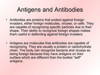 Antigens and antibodies | PPT