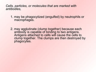 Antigens and antibodies | PPT