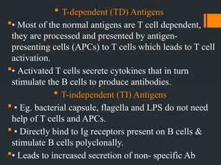 Antigens and antibodies Lecture №3.pptx. | PPTX