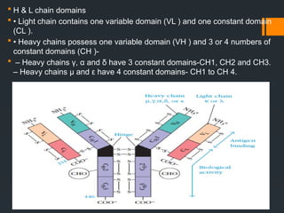 Antigens and antibodies Lecture №3.pptx. | PPTX