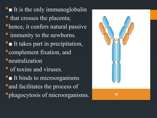 Antigens and antibodies Lecture №3.pptx. | PPTX