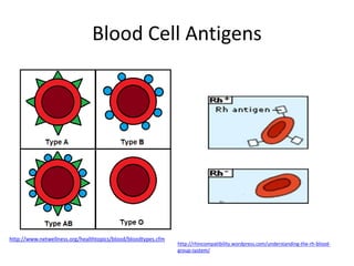 Antigens & antibodies Intro | PPTX