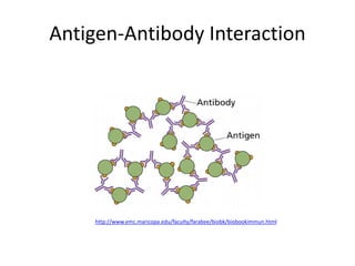 Antigens & antibodies Intro | PPTX