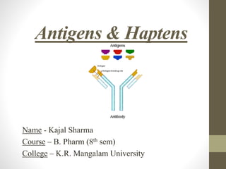 Antigens & Haptens
Name - Kajal Sharma
Course – B. Pharm (8th sem)
College – K.R. Mangalam University
 