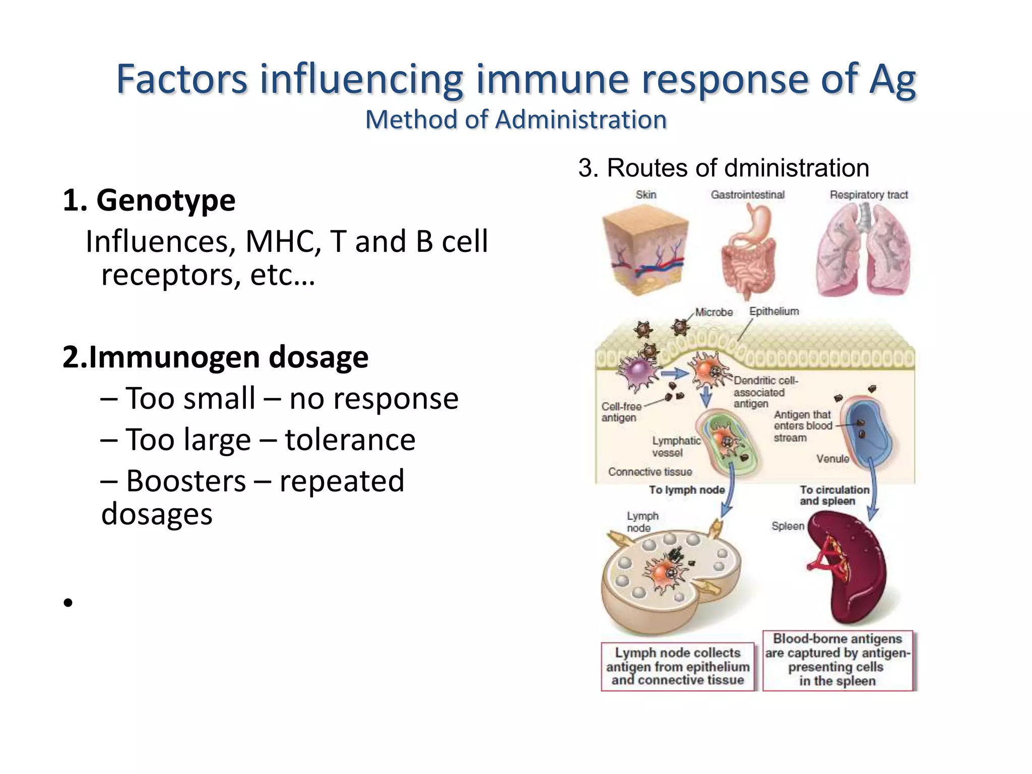 Factors influencing immune response of Ag
Method of Administration
1. Genotype
Influences, MHC, T and B cell
receptors, etc…
2.Immunogen dosage
– Too small – no response
– Too large – tolerance
– Boosters – repeated
dosages
•
3. Routes of dministration
 