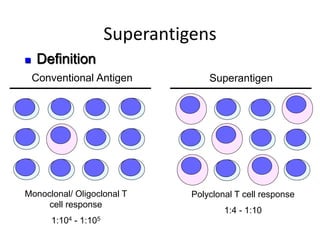 Superantigens
Conventional Antigen
Monoclonal/ Oligoclonal T
cell response
1:104 - 1:105
Superantigen
Polyclonal T cell response
1:4 - 1:10
 Definition
 
