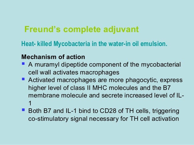 Get Definition freunds Free