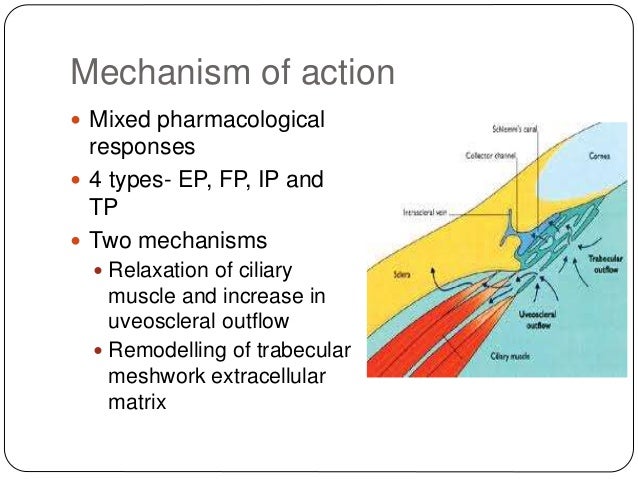 Antiglucoma medications Antiglucoma medications