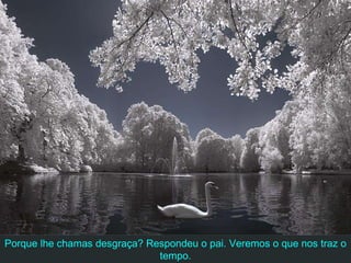 Porque lhe chamas desgraça? Respondeu o pai. Veremos o que nos traz o tempo. 
