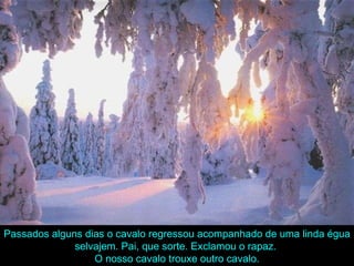 Passados alguns dias o cavalo regressou acompanhado de uma linda égua selvajem. Pai, que sorte. Exclamou o rapaz.  O nosso cavalo trouxe outro cavalo. 