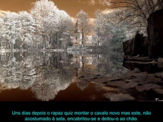 Uns dias depois o rapaz quiz montar o cavalo novo mas este, não acostumado à sela, encabritou-se e deitou-o ao chão. 