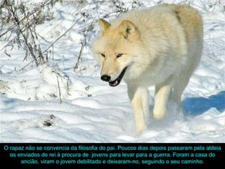 O rapaz não se convencia da filosofia do pai. Poucos dias depois passaram pela aldeia os enviados do rei à procura de  jovens para levar para a guerra. Foram a casa do ancião, viram o jovem debilitado e deixaram-no, seguindo o seu caminho. 