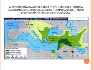 A DESCOBERTA DA AGRICULTURA REVOLUCIONOU A HISTÓRIA DA HUMANIDADE. AS SOCIEDADES SE TORNARAM SEDENTÁRIAS E SURGIRAM AS PRIMEIRAS CIVILIZAÇÕES. 