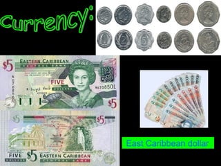 East Caribbean dollar
 